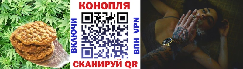 Cannafood марихуана  Верхний Тагил 