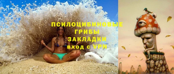 Альфа ПВП Белокуриха