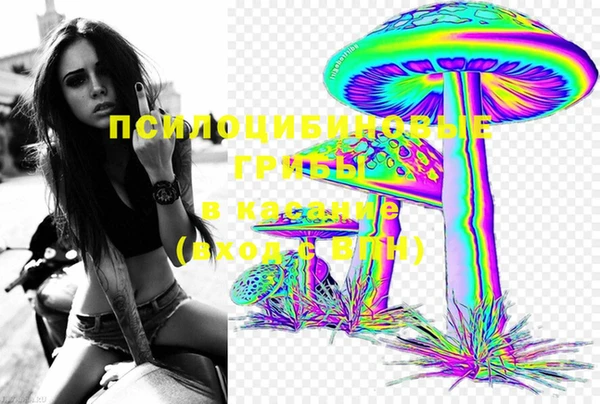 Альфа ПВП Белокуриха